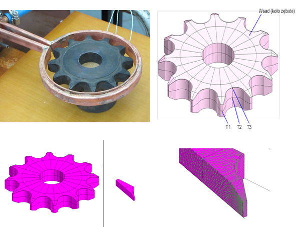 Widok obiektu, geometrii modelu i siatki wycinka modelu Gear 2-3D